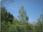 foto Colline tra Fonte Alto e Paderno del Grappa